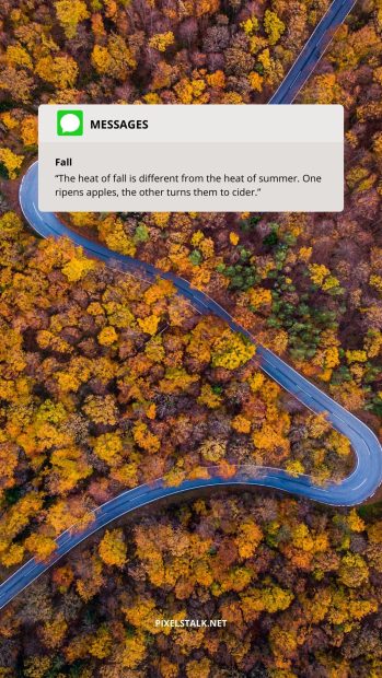 Cute Fall iPhone Road Wallpaper.
