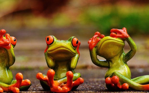 Cute Frogs Wallpaper 1920x1200.