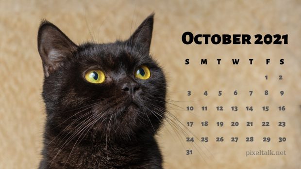 Cute October Calendar 2021 Wallpaper.