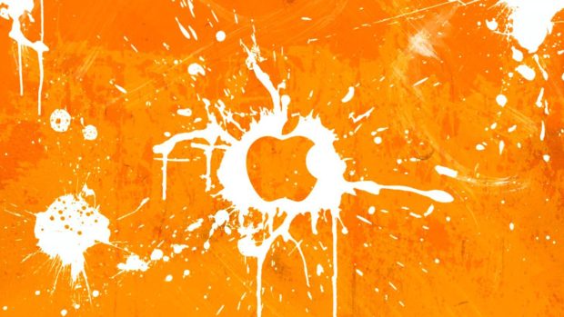 Cute Orange Wallpaper HD Free download.