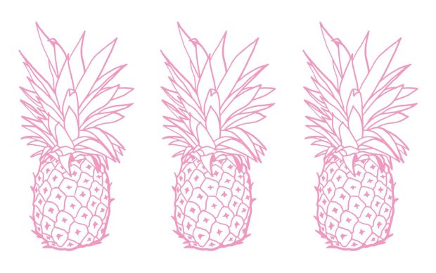 Cute Pineapple Pictures.