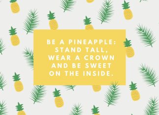 Cute Pineapple Wallpaper HD Free download.