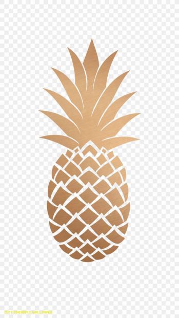 Cute Pineapple Wallpaper for Mobile.