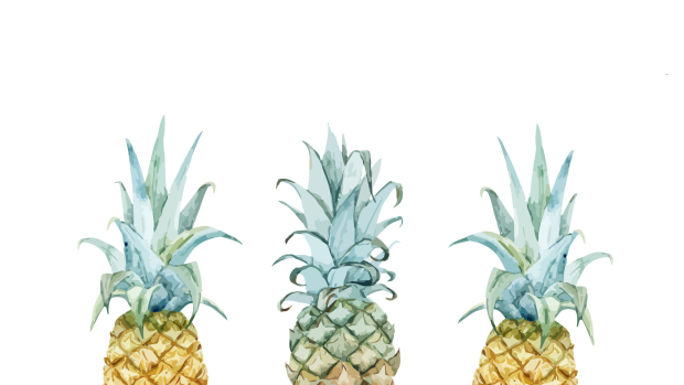 Cute Pineapple Wallpaper for Windows.