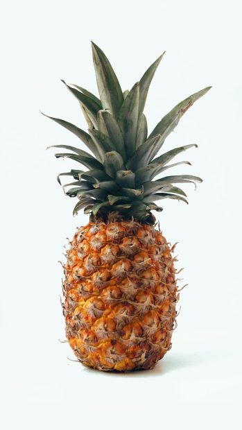 Cute Pineapple Wallpaper for iPhone.