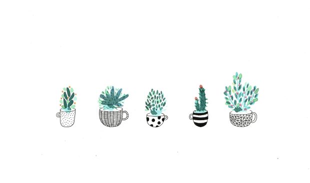 Cute Plant Wallpaper HD Free download.
