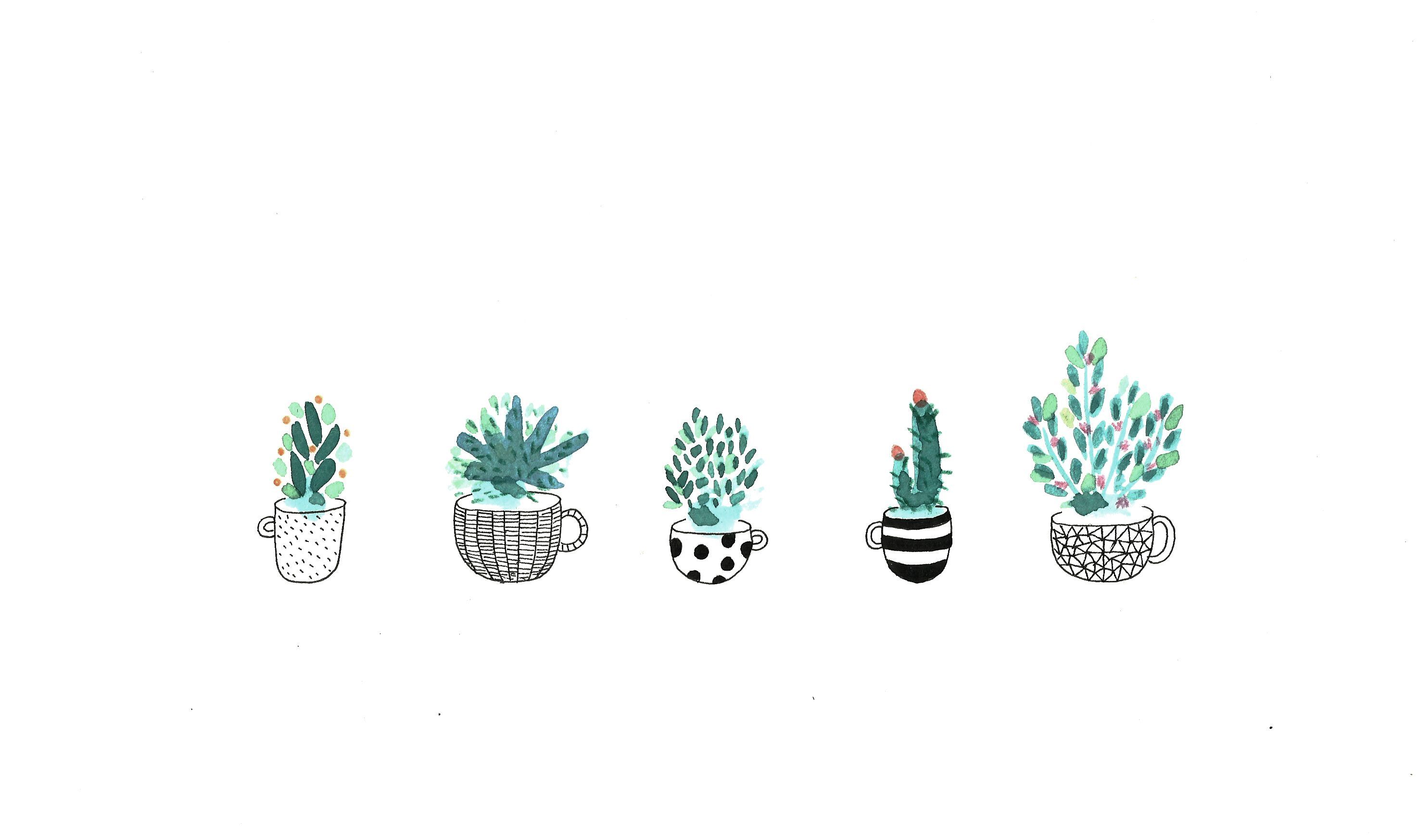 Download A whimsical yet calming aesthetic of a potted plant Wallpaper   Wallpaperscom