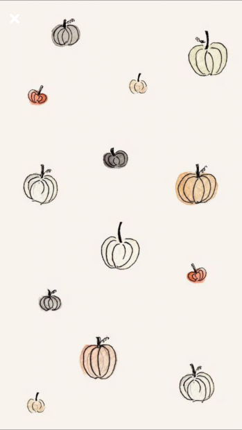 Cute Pumpkin Backgrounds.