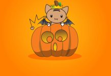 Cute Pumpkin Backgrounds for Desktop.