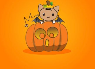 Cute Pumpkin Backgrounds for Desktop.