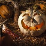 Cute Pumpkin Wallpaper HD Free download.