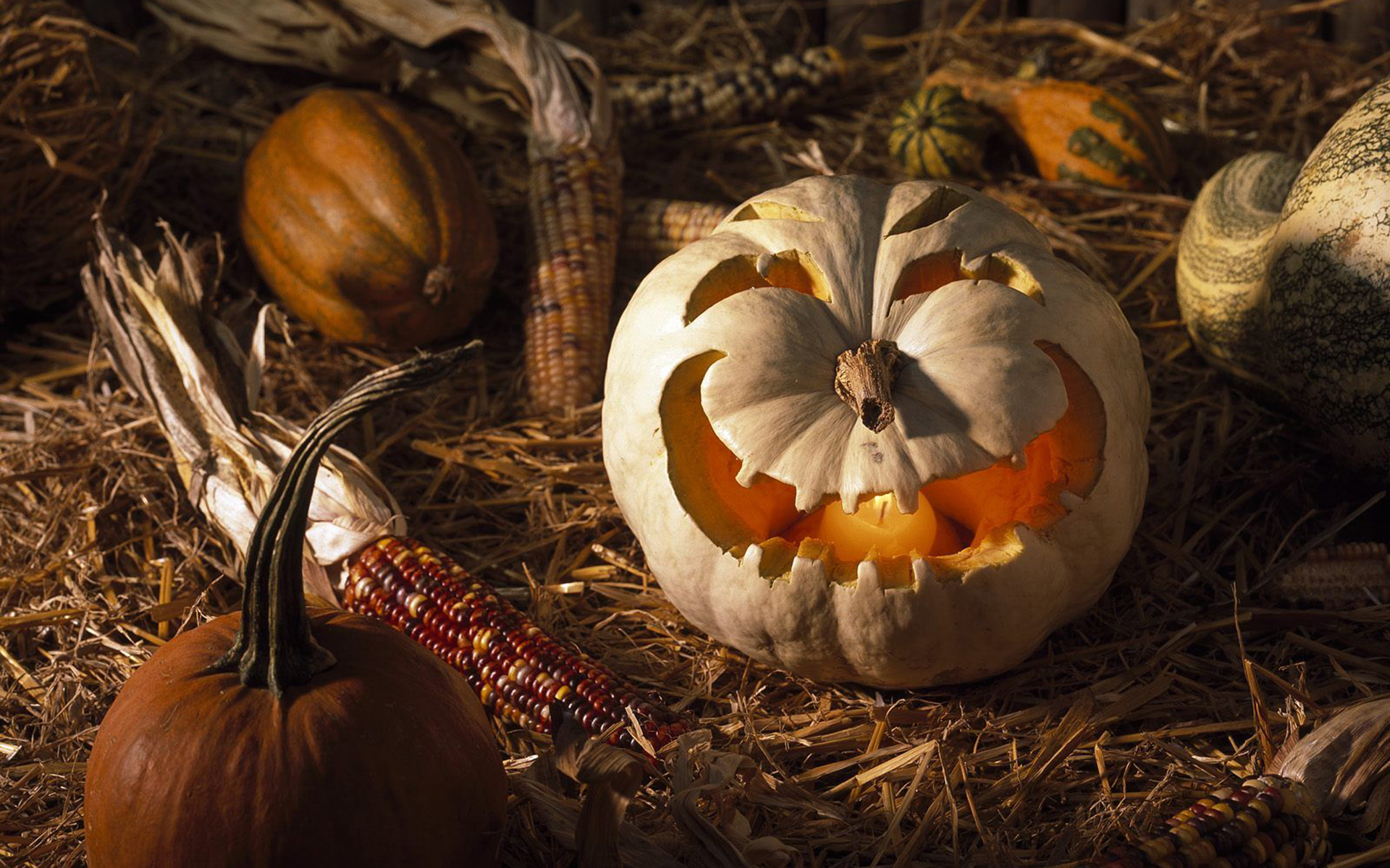 Free Halloween pumpkin wallpapers  14 festive options to dress your tech