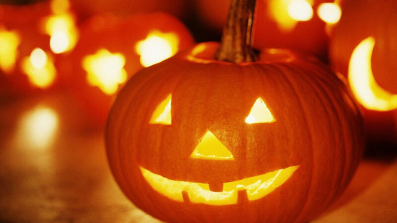 Cute Pumpkin Wallpapers for Desktop - PixelsTalk
