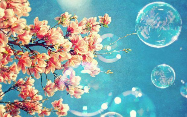 Cute Spring Backgrounds.