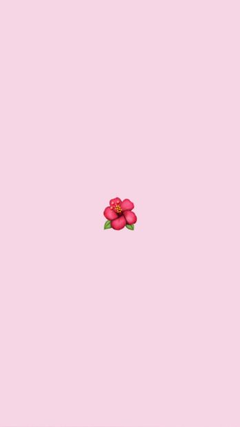 Cute VSCO Wallpaper Free Download.