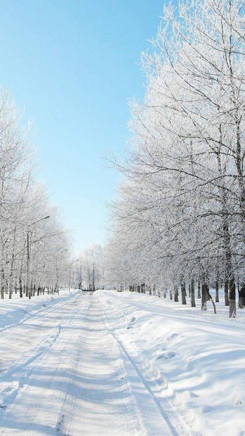 Cute Winter iPhone HD Wallpaper Free download.