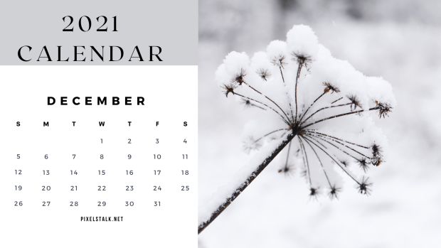 December 2021 Calendar Wallpaper Winter.