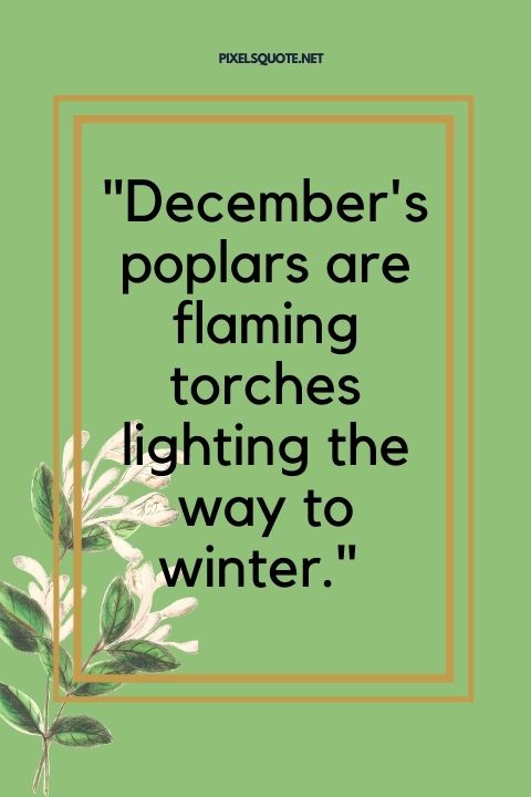 December poplars are flaming torches lighting the way to winter .