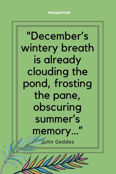 Decembers wintery breath is already clouding the pond, frosting the pane, obscuring summers memory.