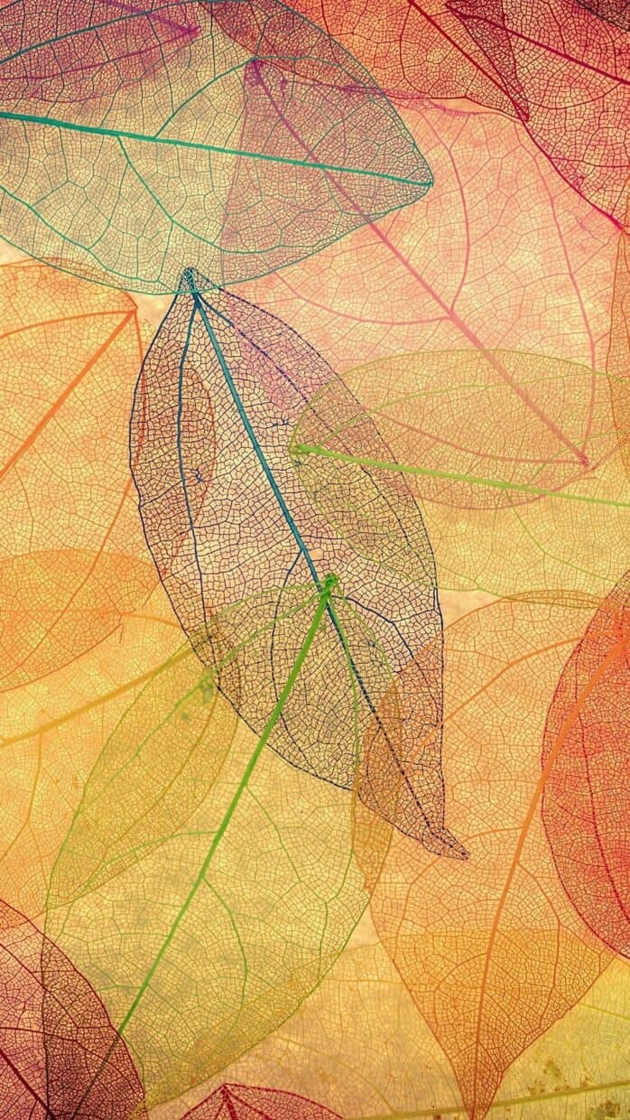 Fall Wallpaper for Android - PixelsTalk