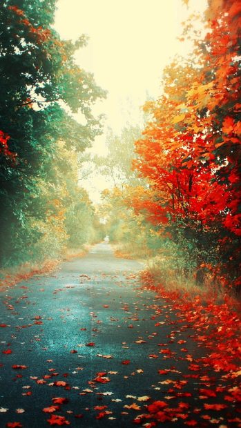 Fall Photo for Android.