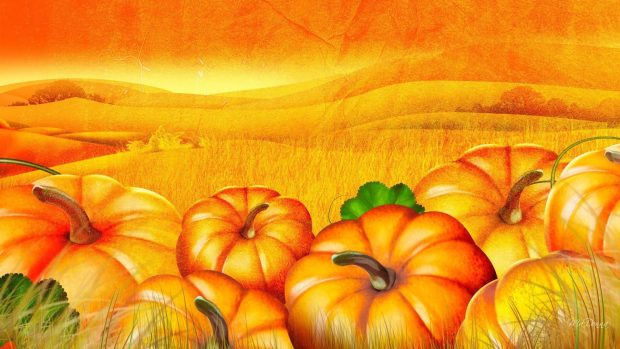 Fall Pumpkin.