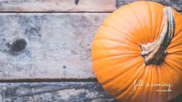 Fall Pumpkin Wallpaper Free Download.