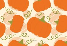 Fall Pumpkin Wallpaper HD.