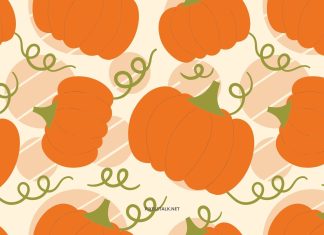 Fall Pumpkin Wallpaper HD.
