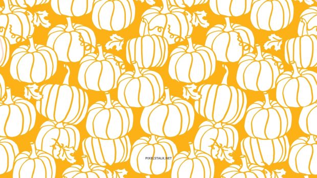 Fall Pumpkin Wallpaper HD Free download.