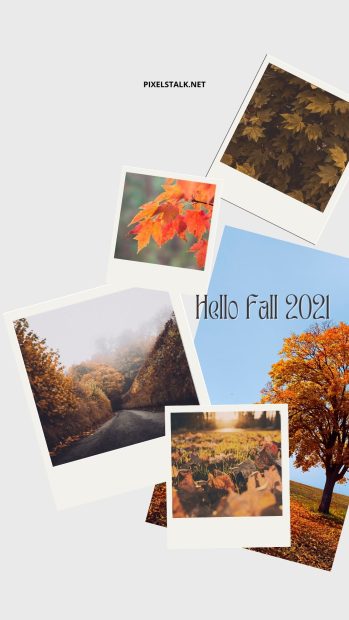 Fall Wallpaper for Android Free download.