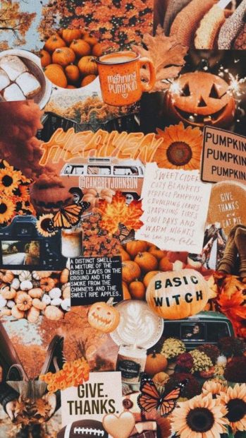 Fall iphone wallpaper collage with pumpkins.