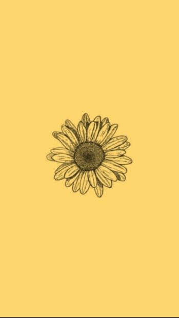 Flower Cute VSCO Wallpaper.