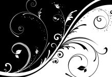 Free Download Cute Black and White Wallpaper HD 1080p.