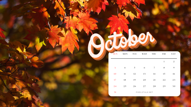 Free Download Fall 2021 October Desktop Wallpaper.