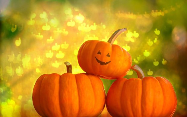 Free Download Fall Pumpkin Wallpaper Computer.