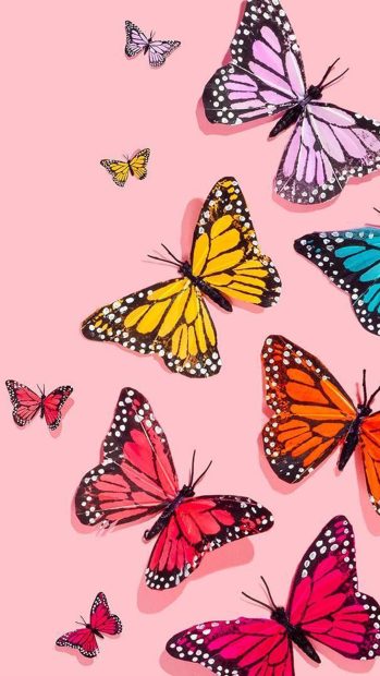 Free download Aesthetic Butterfly Image.