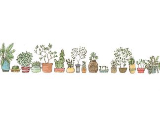 Free download Cute Plant Wallpaper.