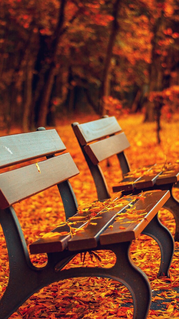 Fall Wallpaper for Android - PixelsTalk