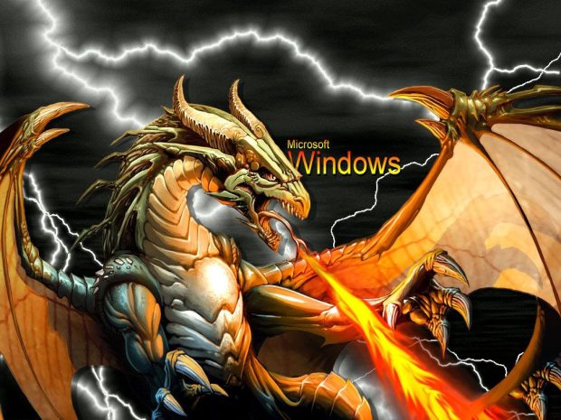 Free download Gold Dragon windows Black wallpapers.