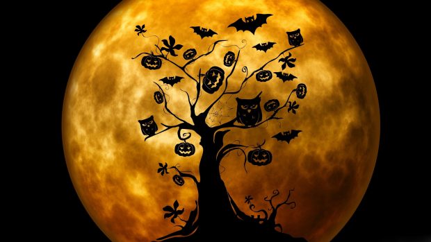 Free download Widescreen Halloween Wallpaper HD.