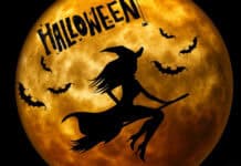 Halloween moon with witch silhouette and bats, spooky full moon night, Halloween background, festive celebration, October holiday.