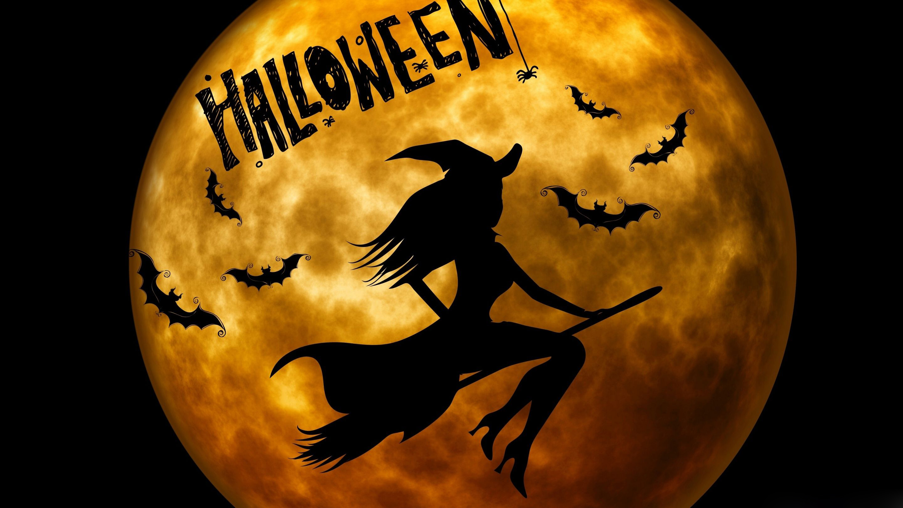 46 Halloween Witch Wallpapers  WallpaperSafari