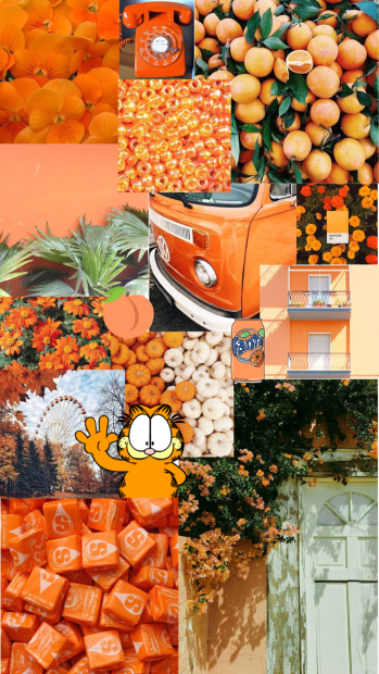 Free download iPhone Orange Aesthetic Wallpaper HD.
