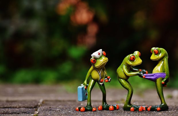Funny Cute Frogs Backgrounds.