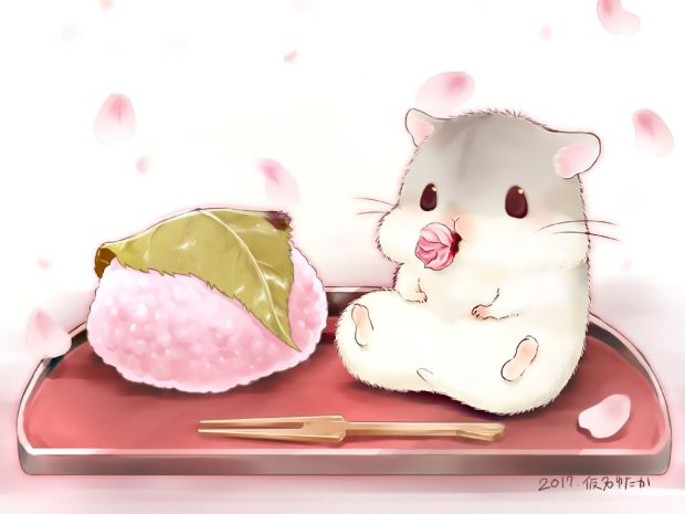 HD Backgrounds Cute Food.