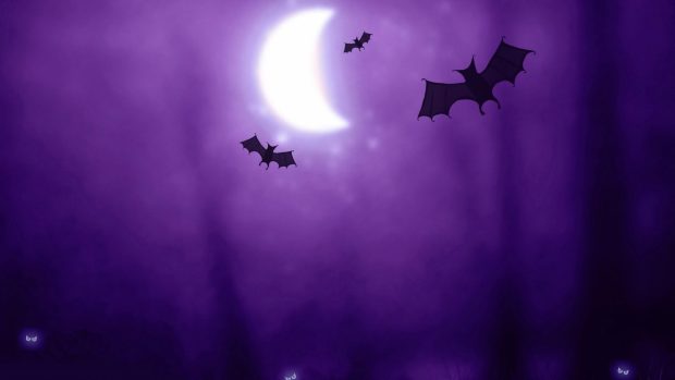 HD Backgrounds Purple Halloween.