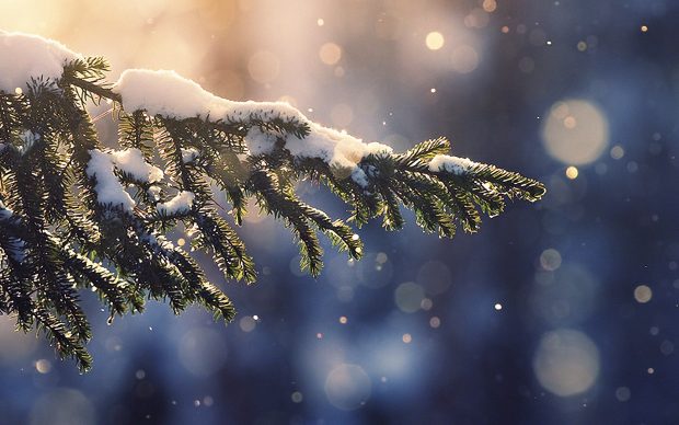 HD Wallpaper 4K Winter.