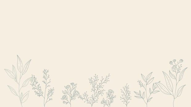 HD Wallpaper Aesthetic Minimalist Plant.