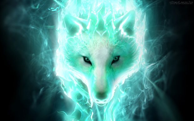 HD Wallpaper Cool Wolf.